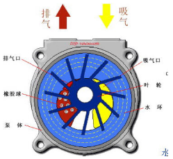 水環真空泵的結構原理圖